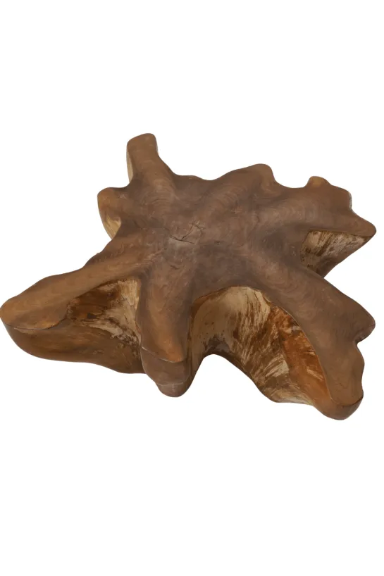 Unieke Wortel Teak Salontafel – Stervorm