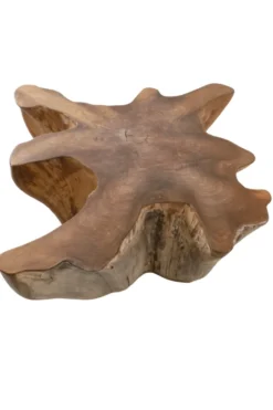 Unieke Wortel Teak Salontafel – Stervorm