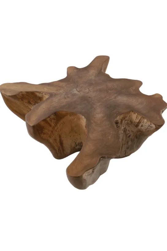Unieke Wortel Teak Salontafel – Stervorm