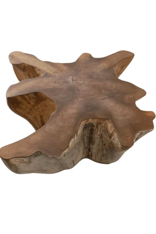 Unieke Wortel Teak Salontafel – Stervorm