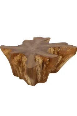 Unieke Wortel Teak Salontafel – Stervorm