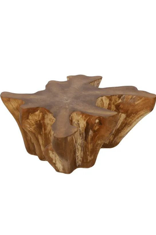 Unieke Wortel Teak Salontafel – Stervorm