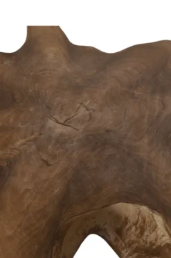 Unieke Wortel Teak Salontafel – Stervorm