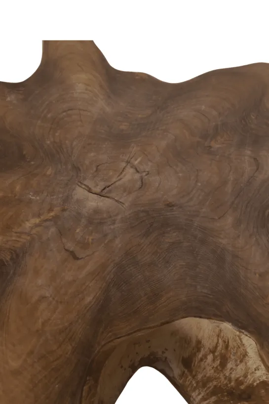 Unieke Wortel Teak Salontafel – Stervorm
