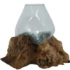 Vaas van Geblazen Glas op Teak Houten Stronk