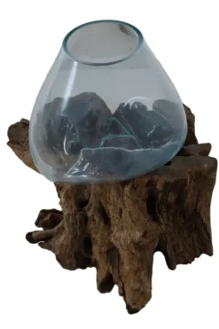 Vaas van Geblazen Glas op Teak Houten Stronk