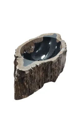 Versteend Houten Fossiele Wasbak – Ovaal