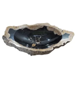 Versteend Houten Fossiele Wasbak