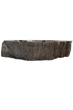 Versteend Houten Fossiele Wasbak