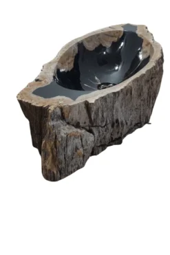 Versteend Houten Fossiele Wasbak