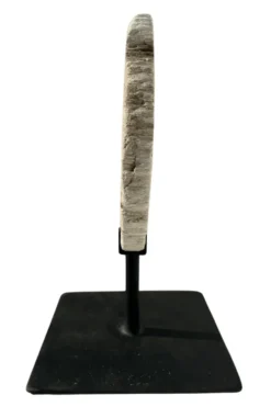 Versteend hout op statief