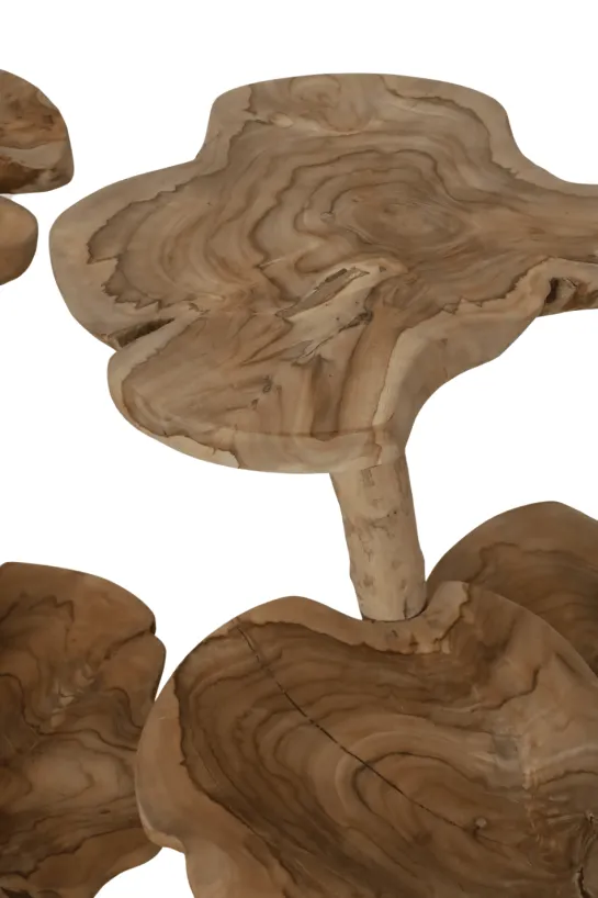 Wortel Teak Houten Kattenpaal / Plantentafel – 3 Plateau’s