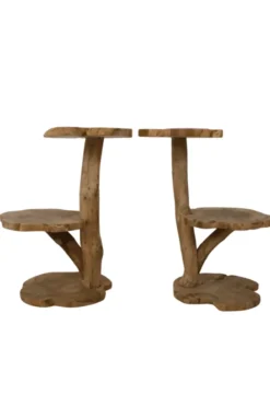 Wortel Teak Houten Kattenpaal / Plantentafel – 2 Plateau’s