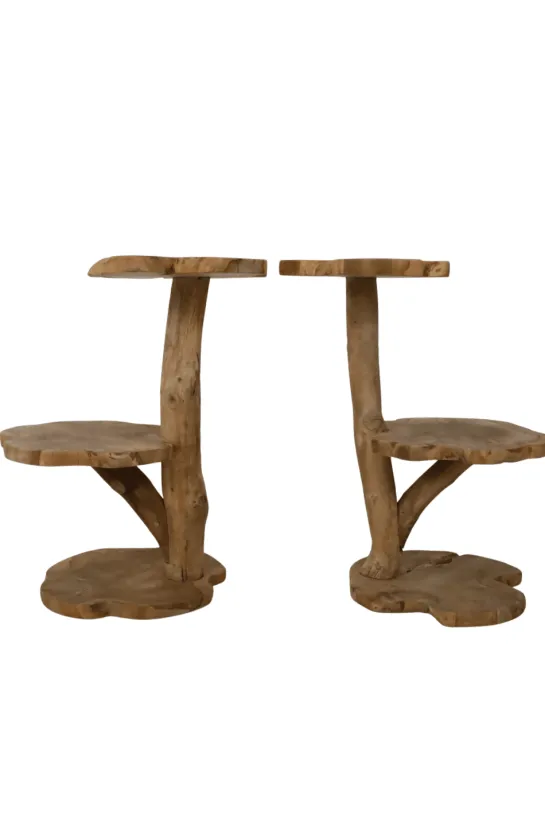 Wortel Teak Houten Kattenpaal / Plantentafel – 2 Plateau’s