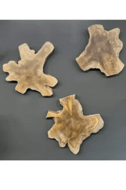 Wortelteak houten schijven