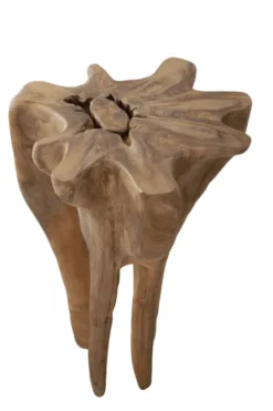 Wortel teak pilaar