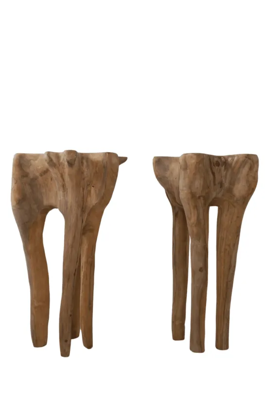 Wortel teak pilaar