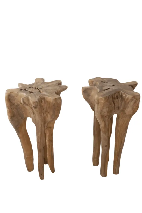 Wortel teak pilaar