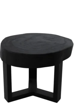Zwarte Boomstam Salontafel