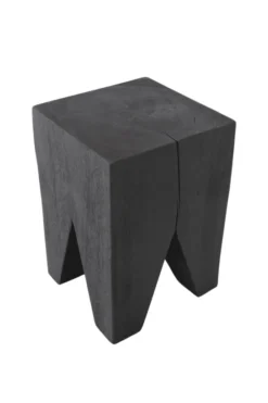 Zwart kieskrukje
